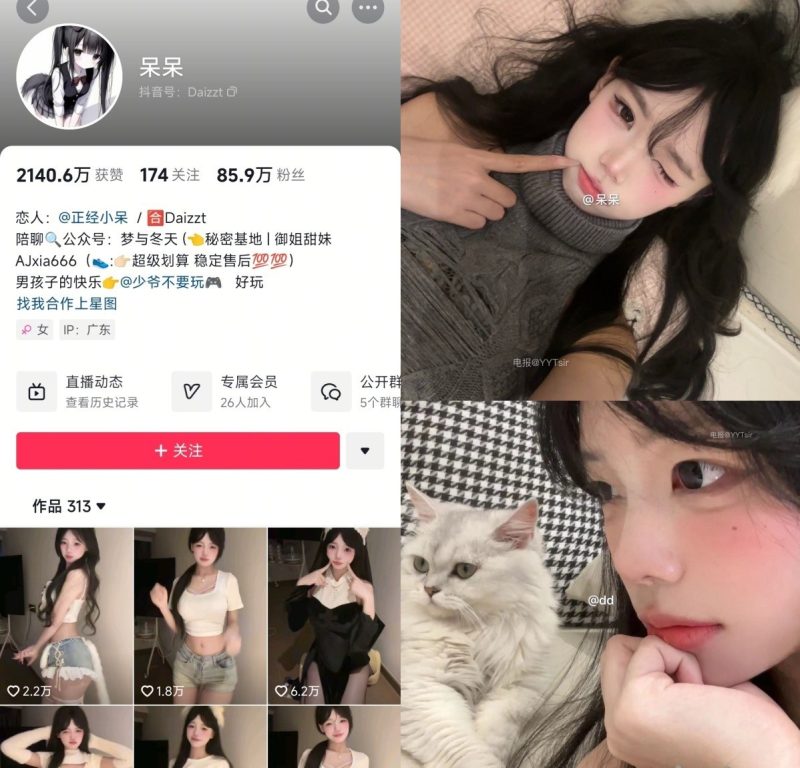[合集打包]小坛姐姐/小坛666/Tan宝/老坛酸菜酱微密圈最新付费作品合集完整版打包下载+持续更新-子比社区