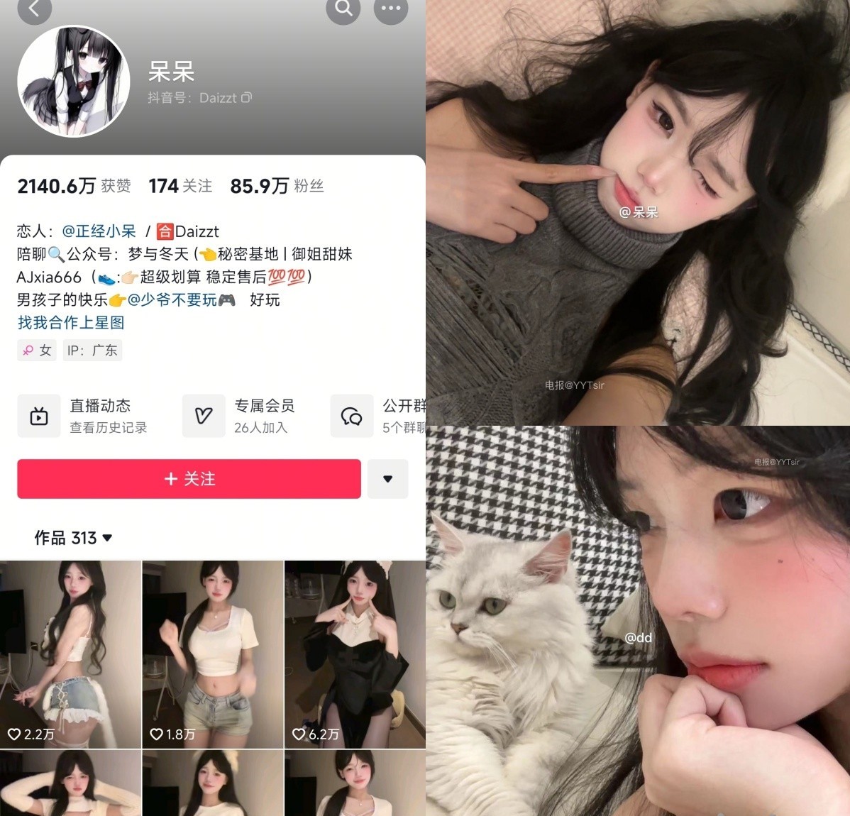 [合集打包]小坛姐姐/小坛666/Tan宝/老坛酸菜酱微密圈最新付费作品合集完整版打包下载+持续更新