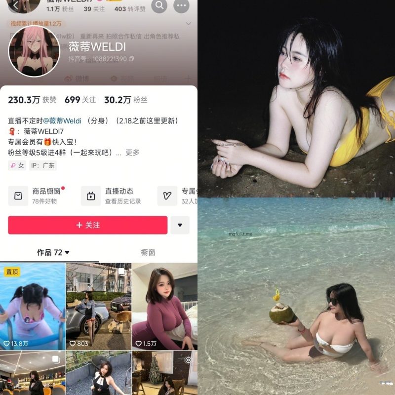 [合集打包]抖音薇蒂WELDI铁粉空间最新付费作品合集完整版作品打包下载+持续更新-子比社区