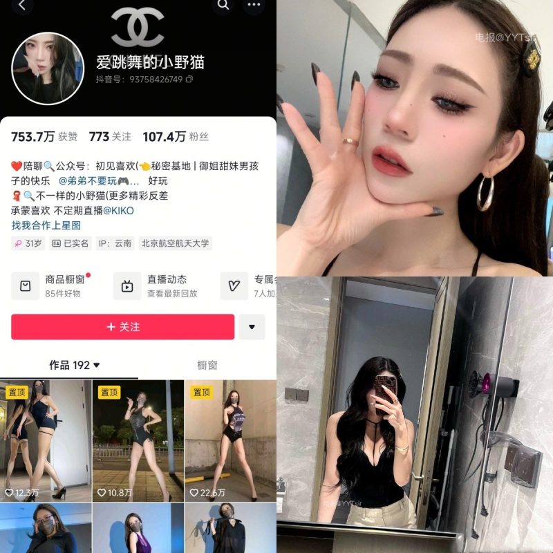 [合集打包]抖音爱跳舞的小野猫/小野猫AA铁粉空间最新付费作品合集完整版打包下载+持续更新-子比社区