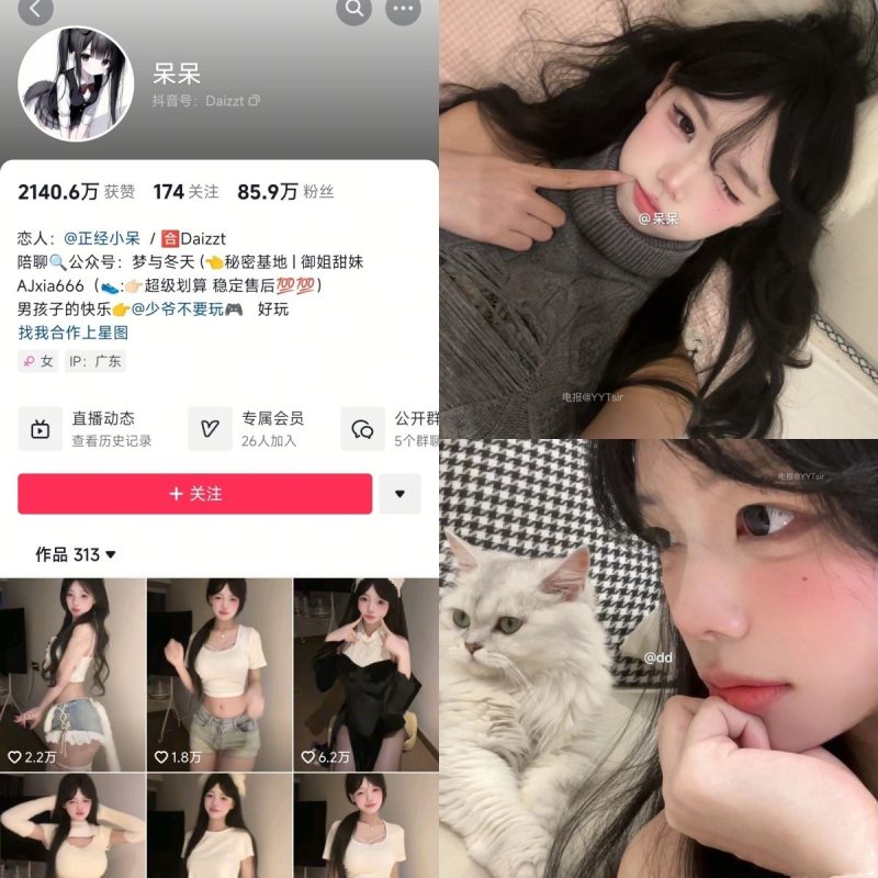 [合集打包]抖音呆呆/正经小呆微密圈最新付费作品合集完整版打包下载+持续更新-子比社区